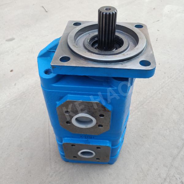 CBGJ Double Pump Square cover Spline Compact Original Gear Pump For Engineering