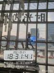 P25 260W/Sqm DC36V Flexible LED Glass Screen 2R2G2B DIP Outdoor