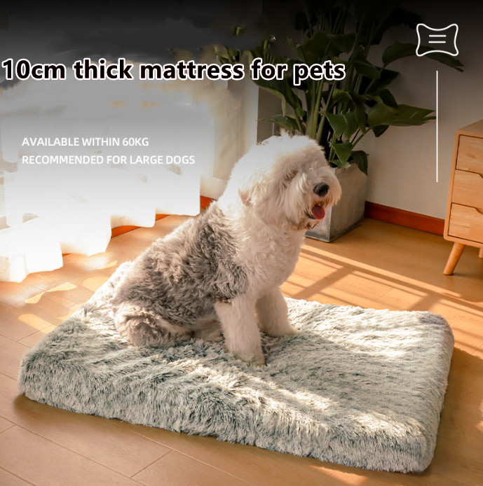 warm dog beds for winter