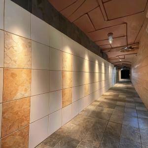 Wholesale Innovative Cutting-Edge Vitreous Enamel Panel For Modern Architecture from china suppliers