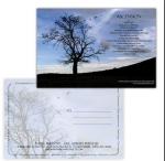 PLASTIC LENTICULAR custom lenticular photo pp pet 3D lenticular printing glitter