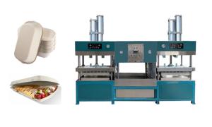 Wholesale Replace Foam Paper Pulp Burger Box Meat Tray Forming Machine from china suppliers