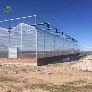 Wholesale 12m Multi Span Clear Polycarbonate PC Sheet Greenhouse from china suppliers