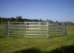 cattle panel