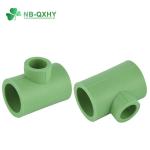 Wall Thickness Pn20 QX PPR Pipe Fitting Reducing Tee for Hot Water Durable