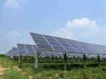 166x166 Photovoltaic Solar Panels Monocrystal Silicon 360w - 380w