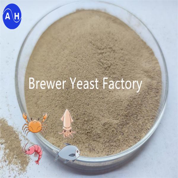 Highly Nutritious Animal Feed Yeast With Saccharomyces Cerevisiae For Digestive