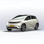 BYD Dolphin EV Cars Adult BYD Haitun Dolphin EV Haitun for High-Standard
