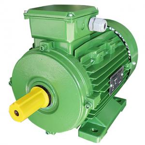 China Squirrel Cage 3 Phase 4 Pole Induction Ac Motor 0.75kw For Woodworking Machinery on sale