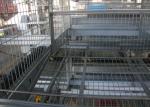 Hot-dip galvanizing technology Reliable Layer Poultry Farming Equipment / Egg