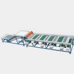Raisin Cleaning Tomato Apple Cherry Blueberry Sorting Machine