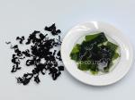 Slightly Salty Sea Mustard Seaweed Wakame Flakes Curly Striate Rich In Nutrition