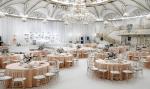 Clear Dining Chairs Crystal Transparent Seat, Modern Dining Chairs, Side Chairs