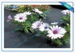 45gsm Heavy Duty Landscape Fabric For Garden 2% UV Resistance