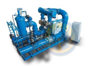 Wholesale IACS Approved IMO MEPC.279(70) Standard 3000m3/h Marine Ballast Water Management System BWS from china suppliers