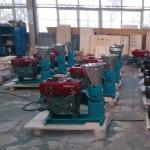 300-400 KG/H Pet Food Pellet Machine With High Productivity Diesel Type Pellet