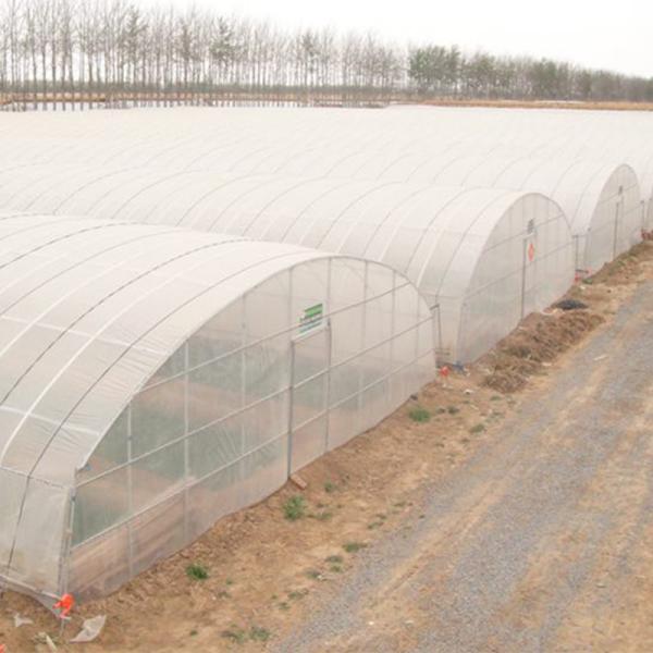 Galvanized Mini Greenhouse for Plant Growing Covered by Single or Double Layer