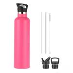 17oz Kids Insulated Stainless Steel Water Bottles With Straw Lid Double Wall