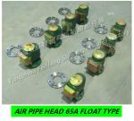 HT200-Flanged cast iron air pipe head, flanged cast iron breathable cap 65A