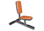 ISO Commercial Grade Gym Equipment Mold Cushion Dumbbell Bench Weights Machine