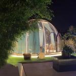Outdoor Glamping Geodesic Dome House Polycarbonate Transparent Luxury Dome Homes