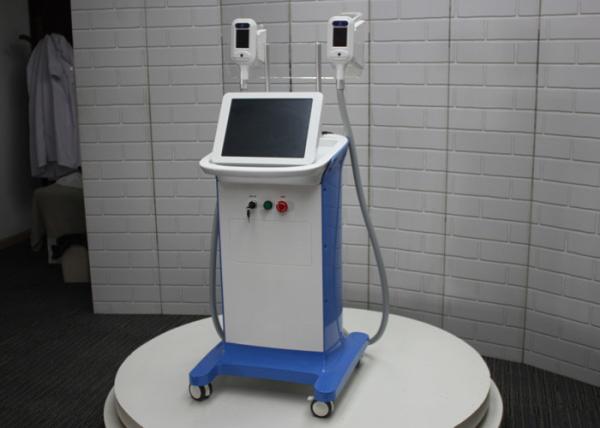 cryolipolysis 3 handles 3.5 inch Cryolipolysis Slimming Machine FMC-I Fat