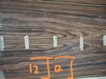 D Style Solid Cedar Top Cutaway 41" Pearl Inlays Rosewood Back and Sides
