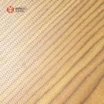 Sound Absorption Micro-perforated Acoustic Panel Eco-Friendly And Stylish