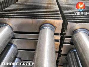 Wholesale Stainless Steel Fin Tube H Type A213 TP316L With SS Fin SS316L For Smoke Heater from china suppliers