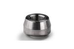 SS304 Metal T Threaded Olet Stainless Steel Pipe Fittings