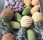 liquid nitrogen tunnel blast freezer for meat iqf machine for fruits vegetables