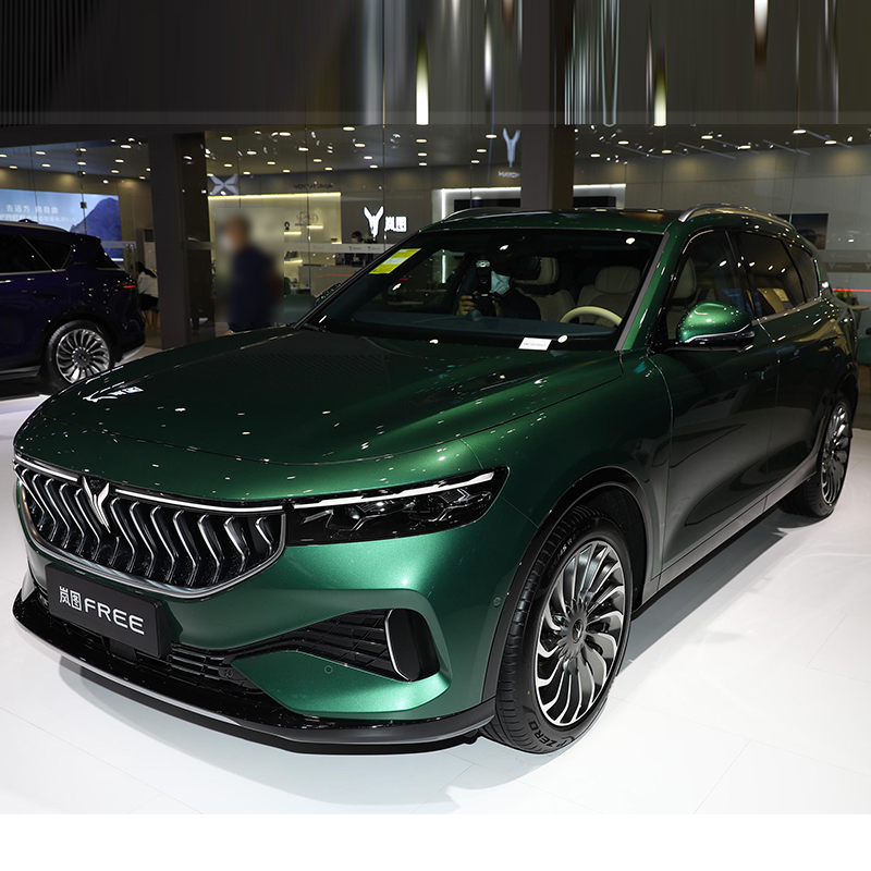 2023 Electric SUV VOYAH FREE 5seats And 4 Electric Vehicles Car With Total motor power 510KW Tire Size 255/45 R20