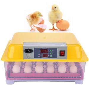Wholesale Plastic Commercial Egg Incubator , Egg Hatching Incubator High Low Temperature Alarm from china suppliers