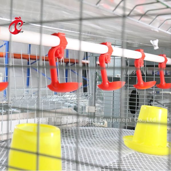 432cm2 Poultry Farming Cage System , Steel automatic layer cage system Rose