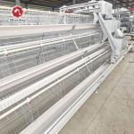 A Type Chicken Layer Cage For Egg Laying Hens