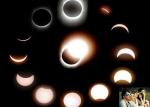 Printing Great American Solar Eclipse Glasses Edition Safe For All Ages