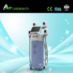 2015 Updated criolipolisis machine with factory low price