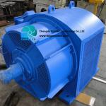 Brushless Excitation Hydro Turbine Generator 1MW - 5MW For Alternative Energy