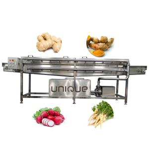 Wholesale Customizable Voltage High Pressure Spraying Washing Machine for Fruit and Vegetables from china suppliers