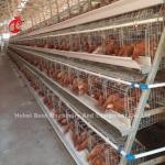 Type A Poultry Farming Battery Chicken Cage System With English Manual