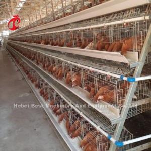 Wholesale Automatic Electric Control Poultry Layer Cage System 4 Tier Farm Design Ada from china suppliers