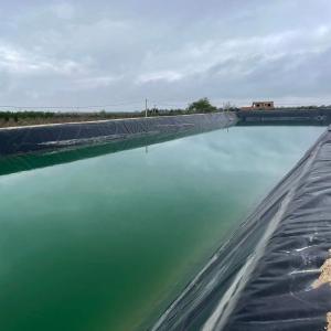 Wholesale Waterproof HDPE Geomembrane Liners for Fish Ponds and Aquaculture 0.2-2.0mm Thickness from china suppliers