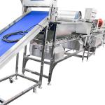 Scallion 1900kg/H Vegetable Washing And Drying Machine