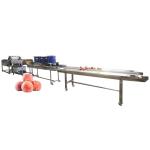 Hot selling Fruit Sterilizer Cleaner Washer With Quality Assurance by Huafood
