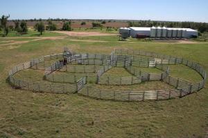 Wholesale 30pcs Bundle Heavy Duty Portable Cattle Panels For Sale &amp; Gate from china suppliers