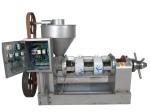 Fast Feeding Speed Screw Oil Press Machine Rapeseed Oil Making Machine 545kg