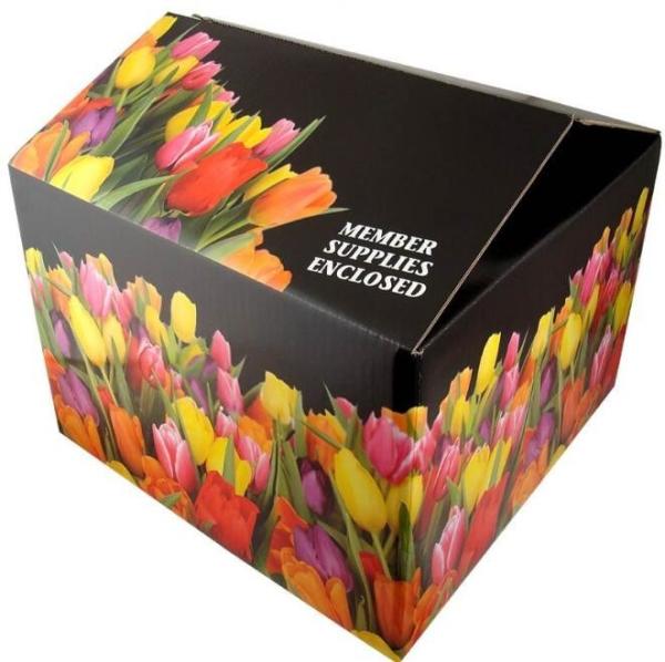 fruit carton, fruit case, fruit tray, New Custom Made Luxurious mobile phone