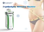 2016 hottest !!! cryolipolysis slimming machine, 3 cooling system, fat freezing