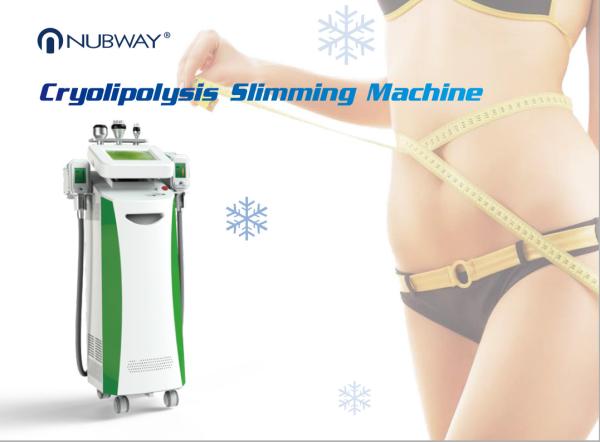 2016 hottest !!! cryolipolysis slimming machine, 3 cooling system, fat freezing
