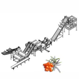 Wholesale Juice Processing Machine Juice Manufacturing Plant For Seabuckthorn from china suppliers